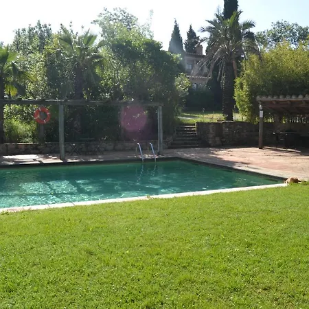 Masia Sort *